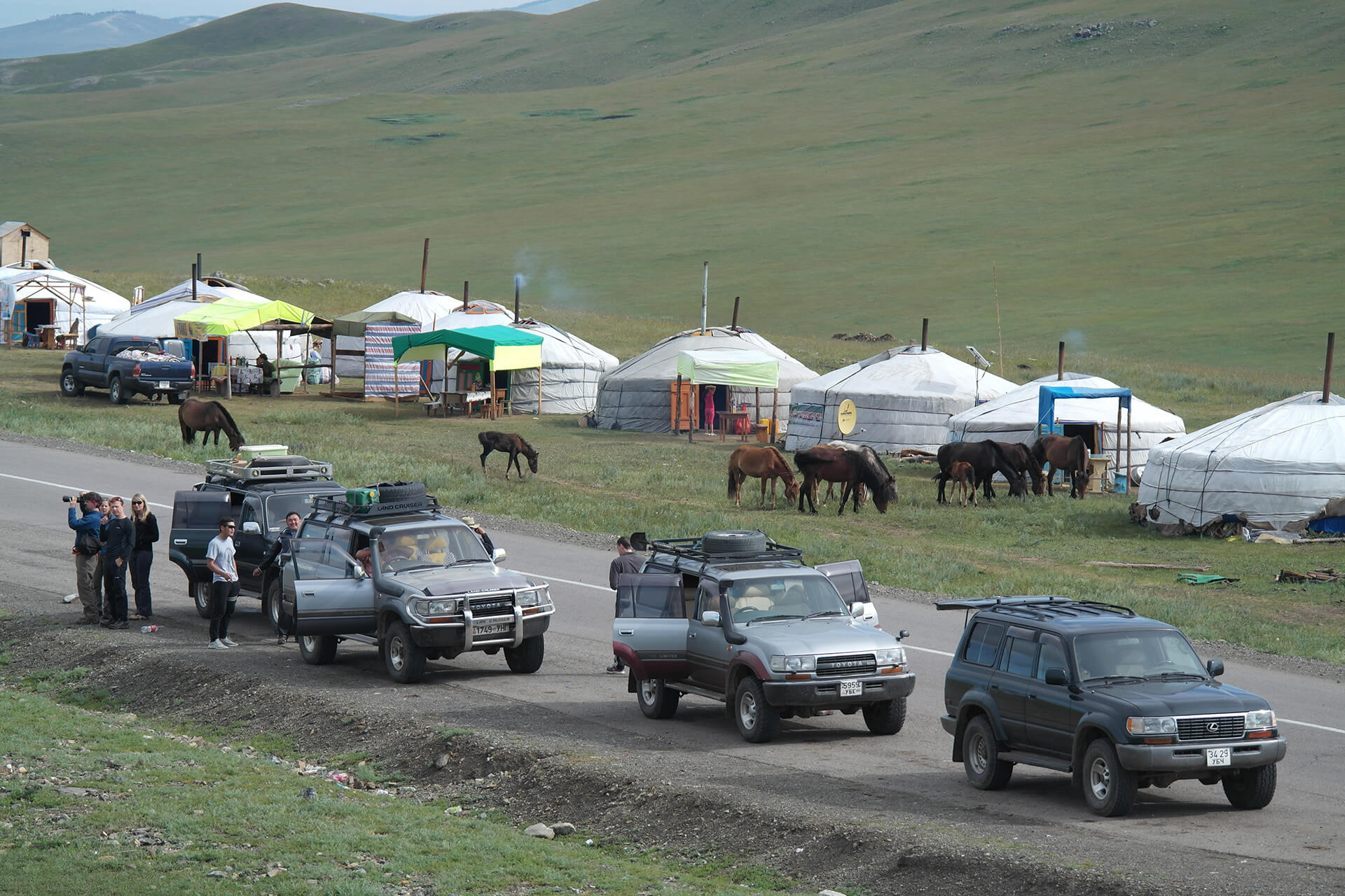 Mongolian Dot Travel