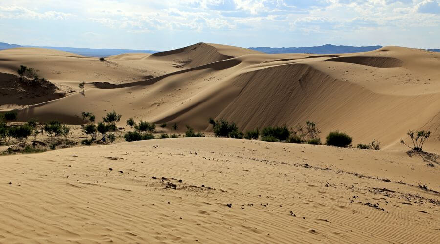 Khongoryn Els