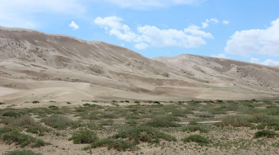 Gobi A National Park 1 Sand Dune