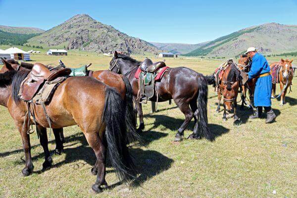 mongolia horse riding 189