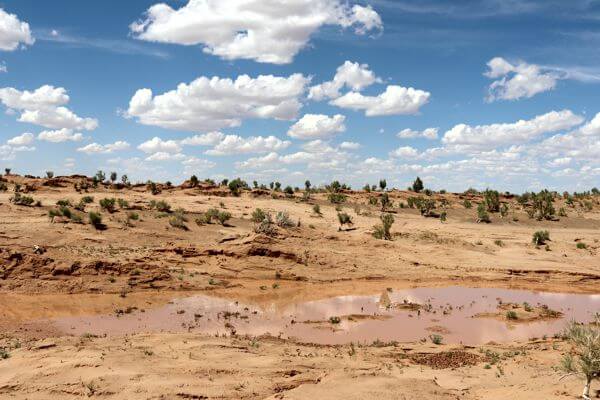 Camel Trek in Gobi Desert & Cultural Journey (11 days) 5 Camel 600x400 002