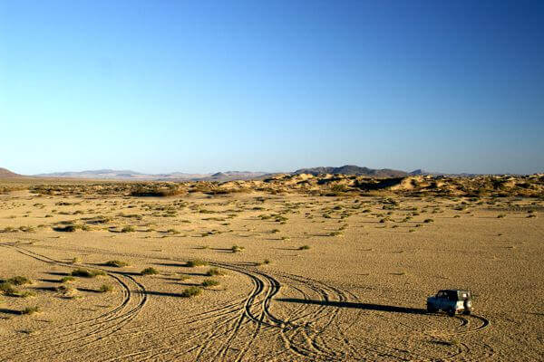 Camel 600x400 003 2