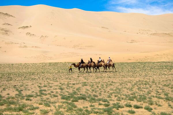 Camel Trek in Gobi Desert & Cultural Journey (11 days) 4 Camel 600x400 066
