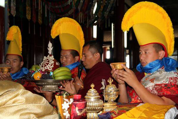Camel Trek in Gobi Desert & Cultural Journey (11 days) 34 Camel 600x400 155