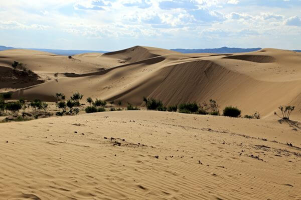 Camel Trek in Gobi Desert & Cultural Journey (11 days) 7 Camel 600x400 198