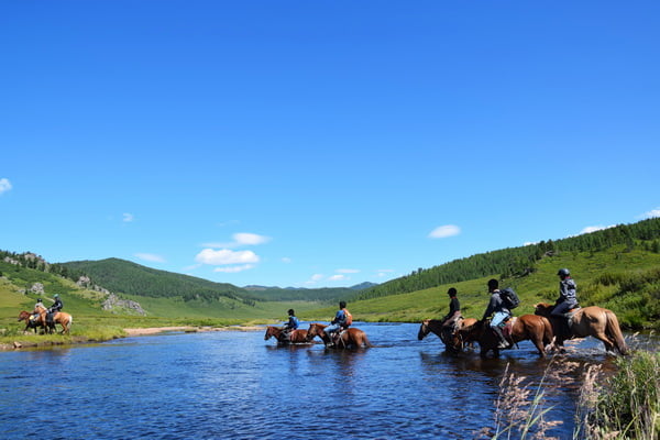Horseback Riding Tours 1 horses 07