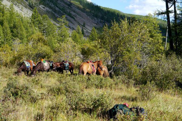 Khuisiin Naiman Nuur Horsebackriding Tour(14 days) 7 mongolia horse riding 147