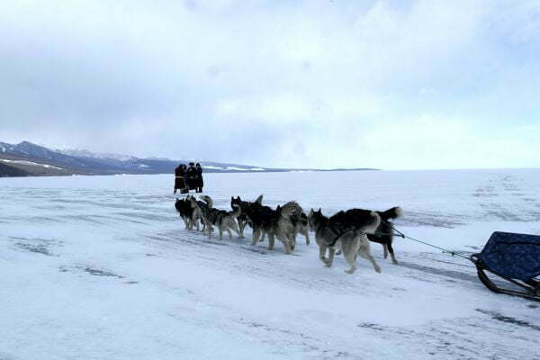 winter tours 150