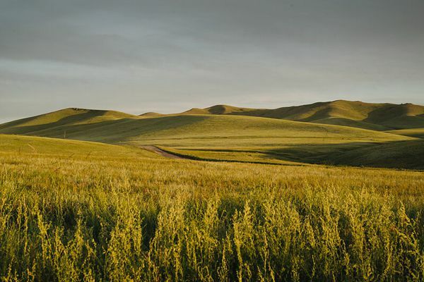 The Genghis Khan's Birthplace 25 sightseeing tours mongolia 413
