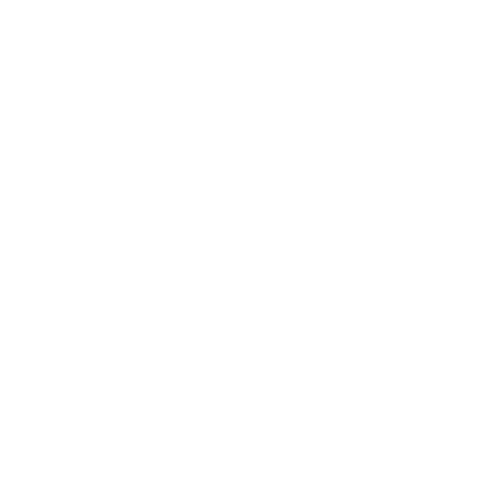 Zucchi Tours logo-002